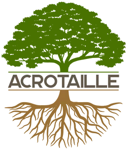 Acrotaille Logo