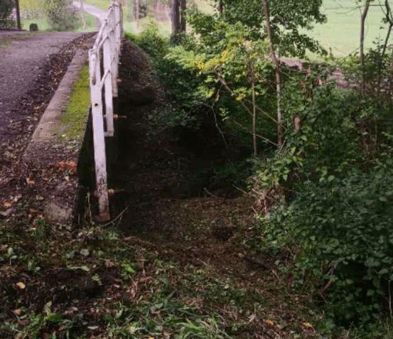 débroussaillage des espaces verts