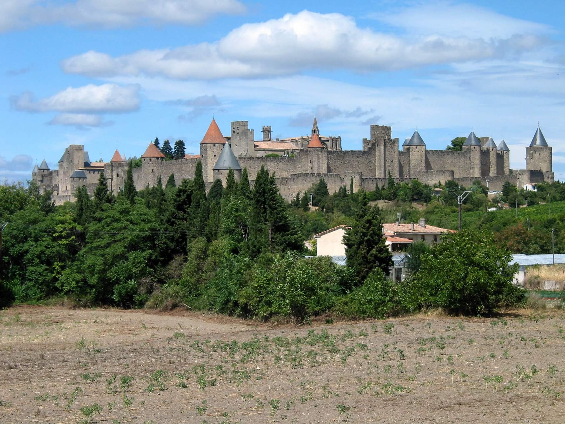 élagage professionnel Carcassonne