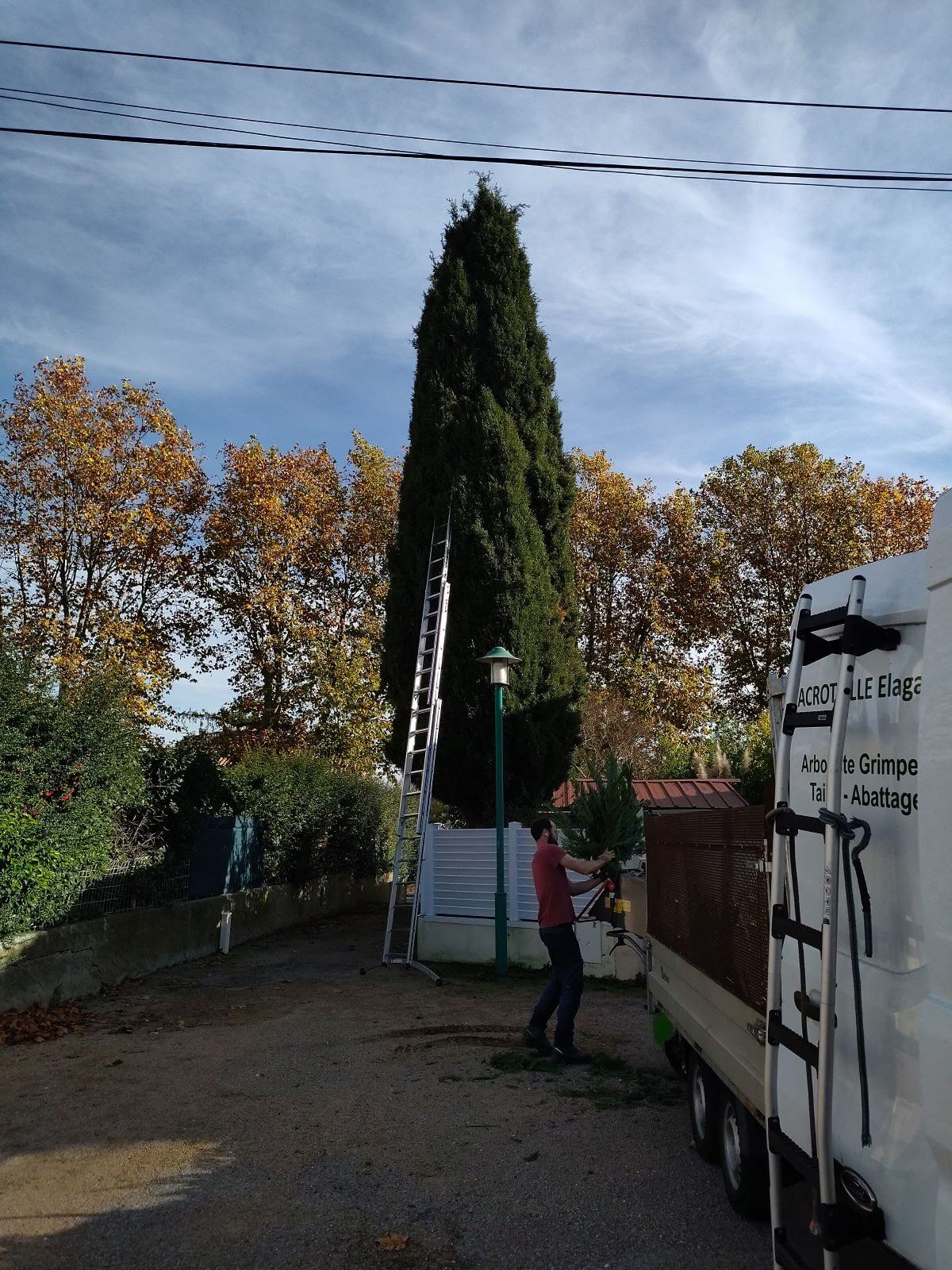 elagage grand cypres elagage grand cypres